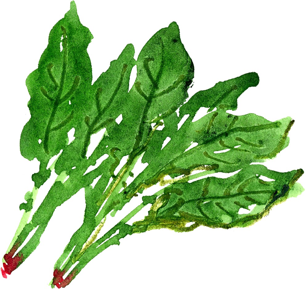 ほうれん草