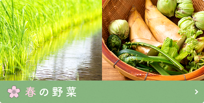 春の野菜