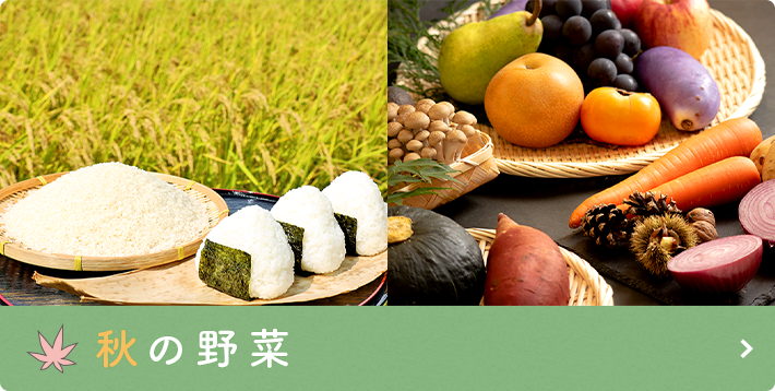秋の野菜