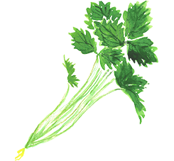 「自然力感謝菜」は、三菜寿(sanasu)スタイル。