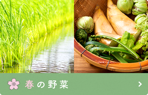 春の野菜