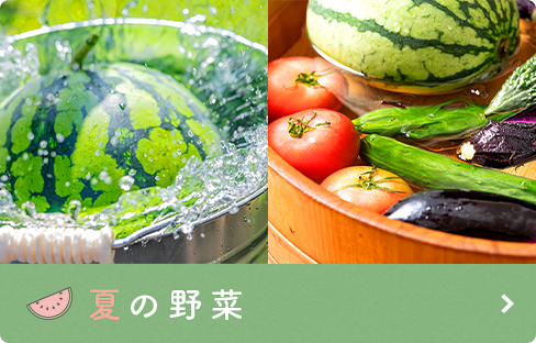 夏の野菜