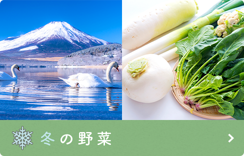 冬の野菜